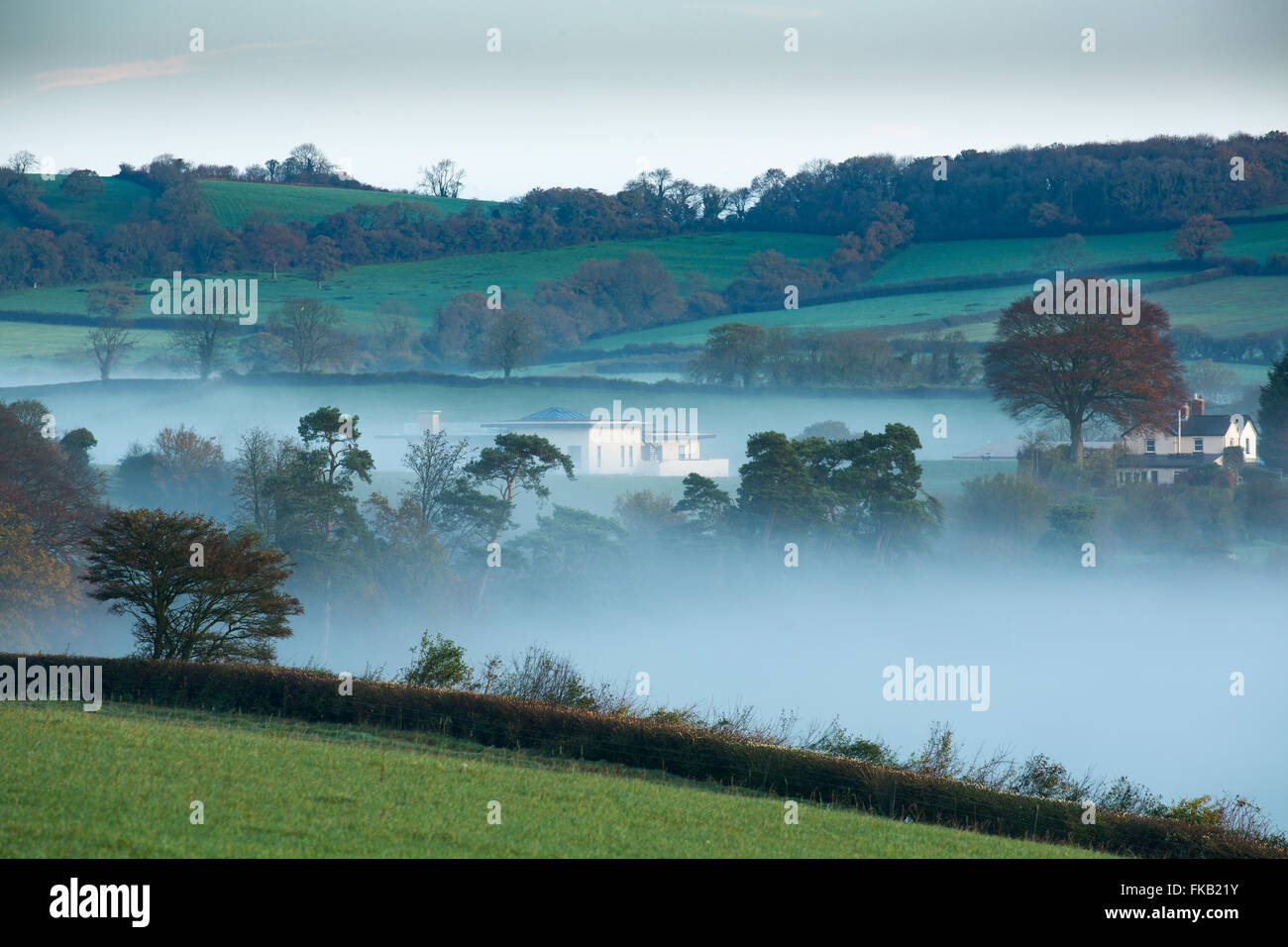Mist couché dans la vallée à Milborne Wick, Somerset, England, UK Banque D'Images