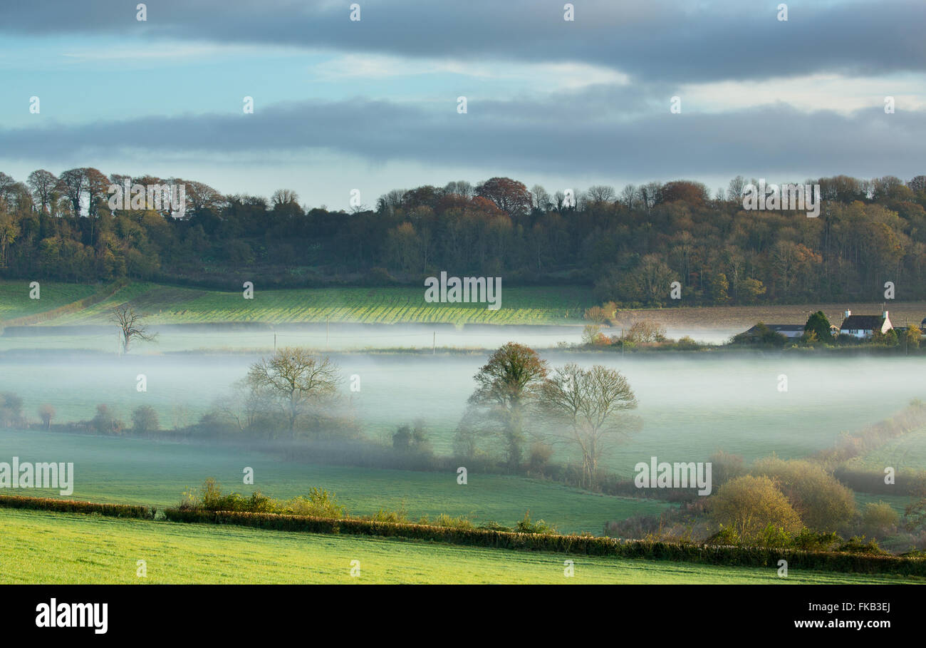 Mist couché dans la vallée à Milborne Wick, Somerset, England, UK Banque D'Images