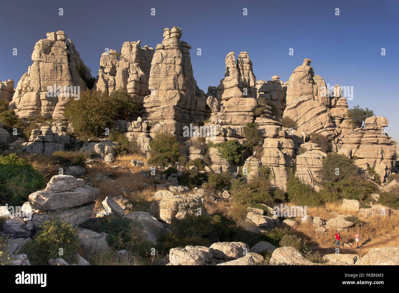 Le Parc Naturel El Torcal de Antequera et les touristes, la province de Malaga, Andalousie, Andalousie, Espagne, Europe, andalou Banque D'Images