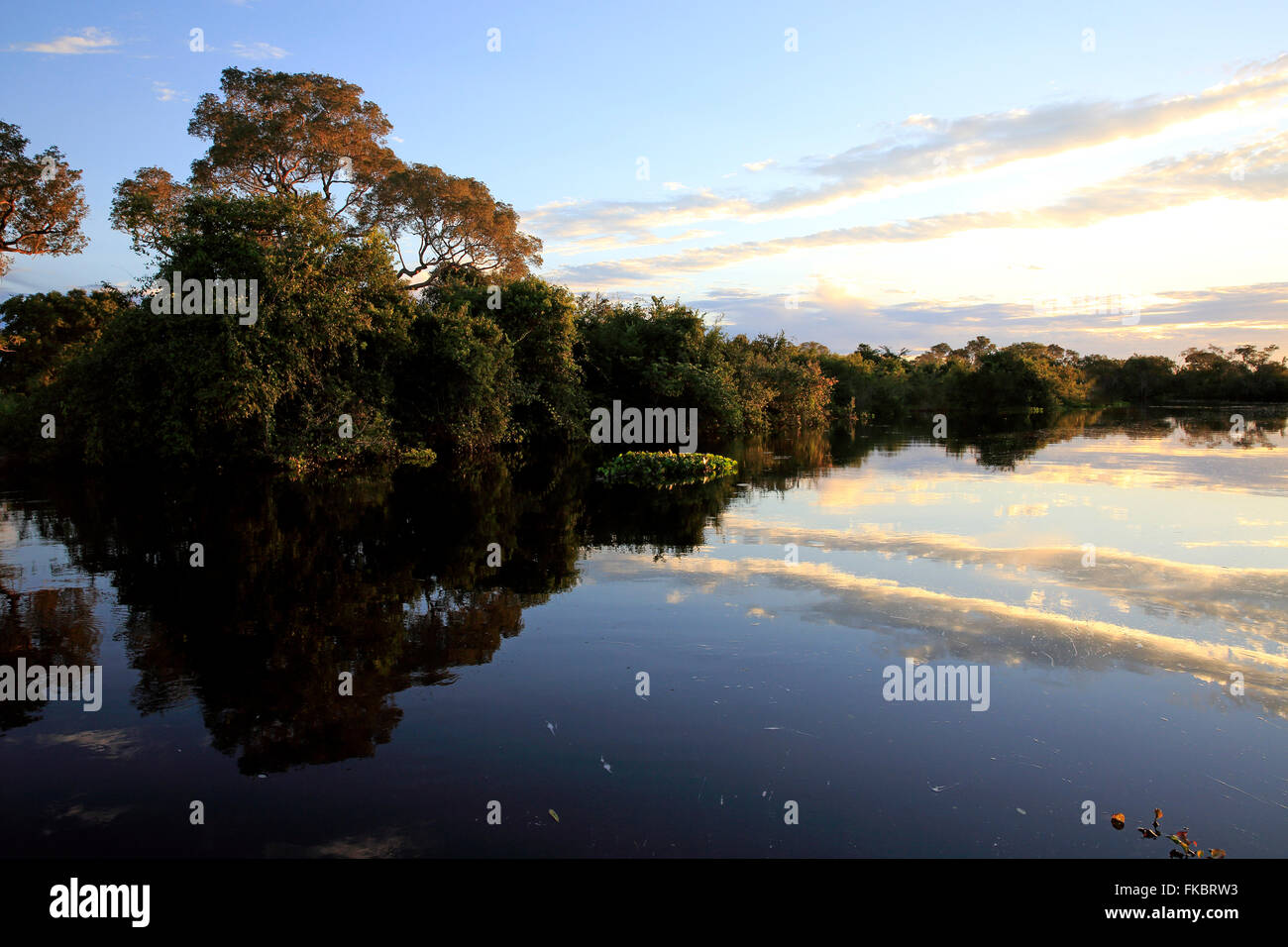 La rivière Pixaim Rio, Pantanal, les paysages le long de la rivière, Pantanal, Mato Grosso, Brésil, Amérique du Sud Banque D'Images