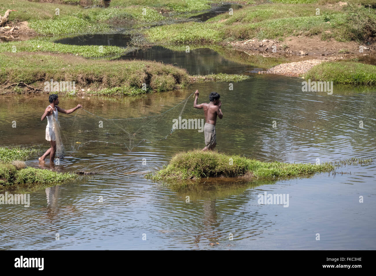 Les hommes de la pêche au filet dans une rivière dans le Kerala, Inde du Sud Banque D'Images