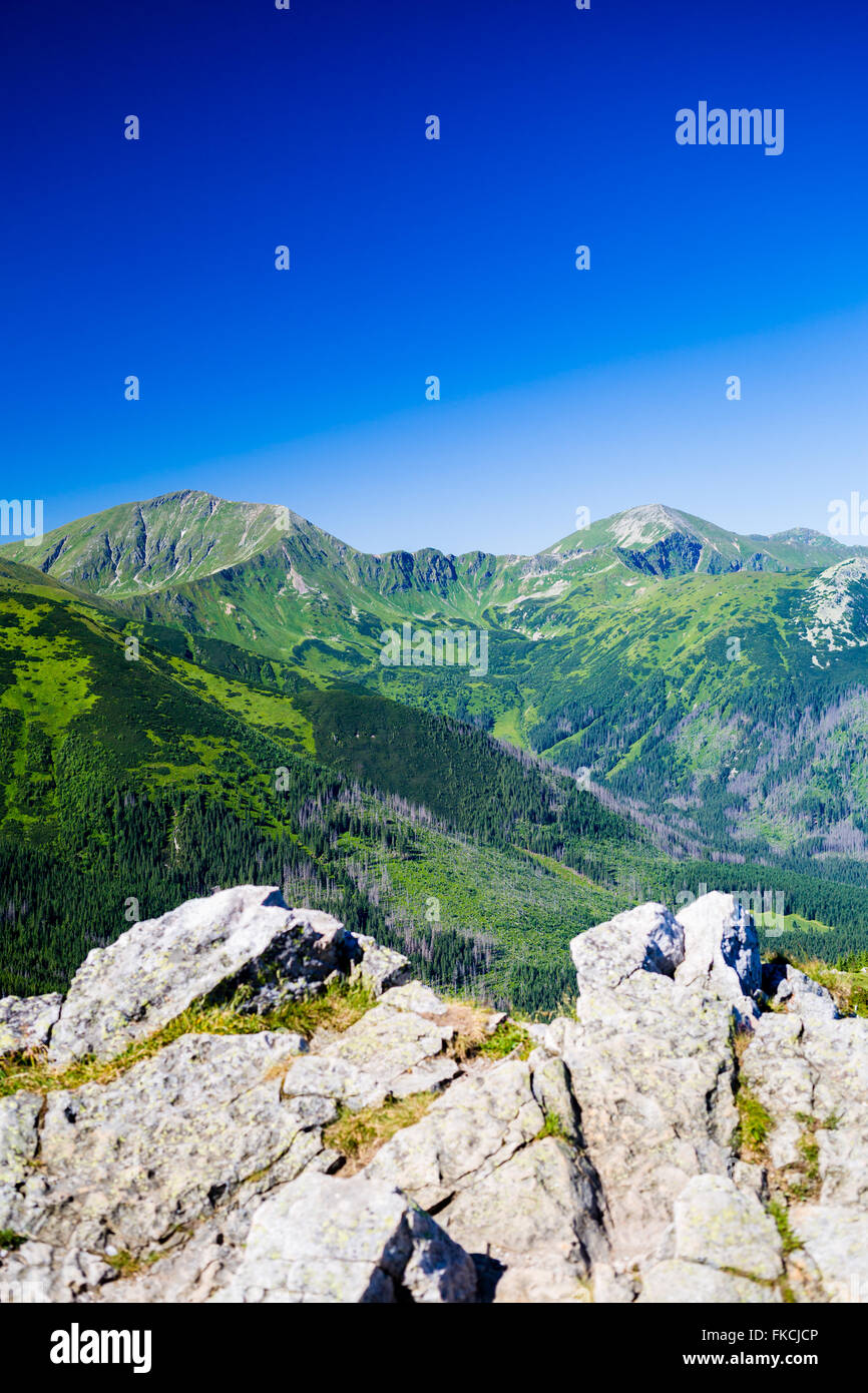 Montagnes d'inspiration vue paysage, journée ensoleillée en été, sur la crête des montagnes Tatras soleil bleu ciel, la Pologne en Europe Banque D'Images