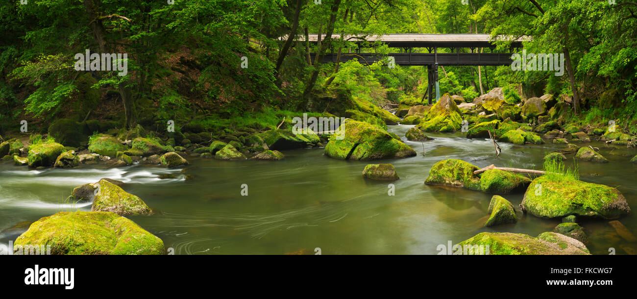 En bois recouverte d'un pont sur une rivière dans une forêt luxuriante près de Echternacherbrück, Allemagne. Banque D'Images
