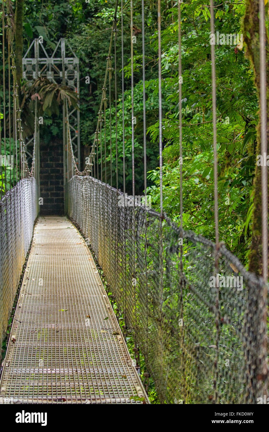 Pont suspendu de rainforest, Costa Rica Banque D'Images