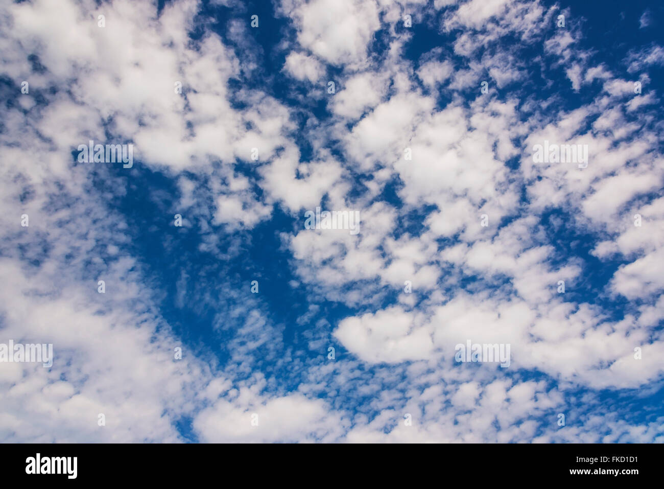 Ciel bleu et nuages blancs Banque D'Images