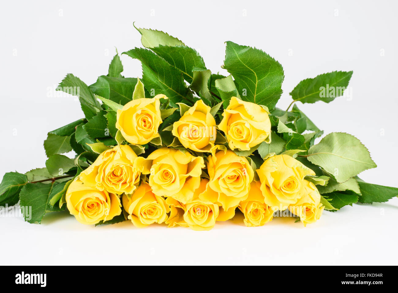 Bouquet de roses jaunes fraîches posé à plat sur une surface blanche Photo  Stock - Alamy