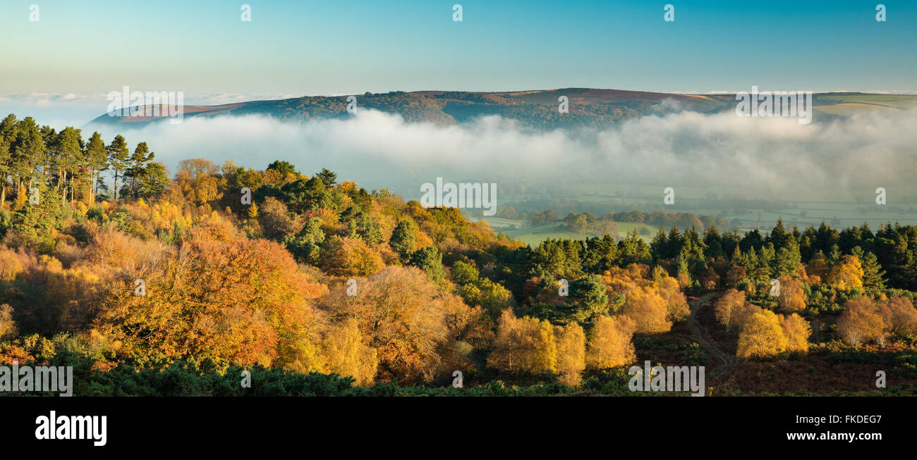 Couleurs d'automne nr Webber's Post, avec la brume qui plane sur l'Holnicote Estate, Parc National d'Exmoor, Somerset, England, UK Banque D'Images