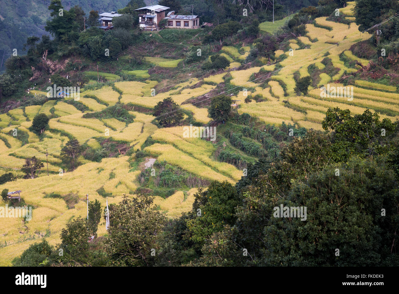 Paysage avec des terrasses de riz et le village sur la colline. Banque D'Images