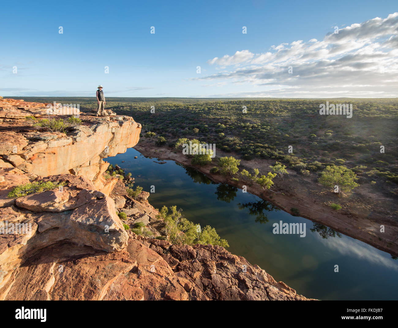 Wendy à la tête de faucon sur le Murchison River Gorge, le Parc National de Kalbarri, Australie occidentale Banque D'Images