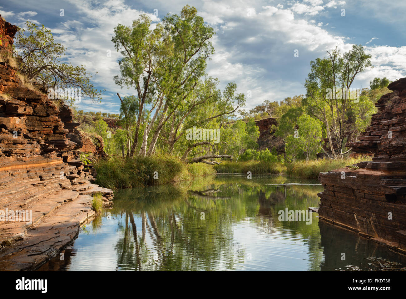 Gorge Kalamina, parc national de Karijini, Pilbara, Australie occidentale Banque D'Images