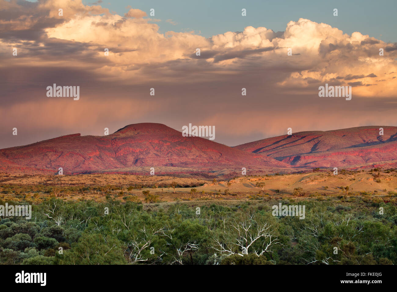 Pilbara, Australie occidentale Banque D'Images