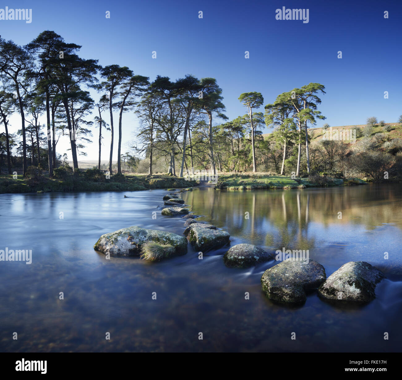 Stepping Stones traversant la rivière Dart de l'Ouest. Parc National de Dartmoor. Devon. UK. Banque D'Images