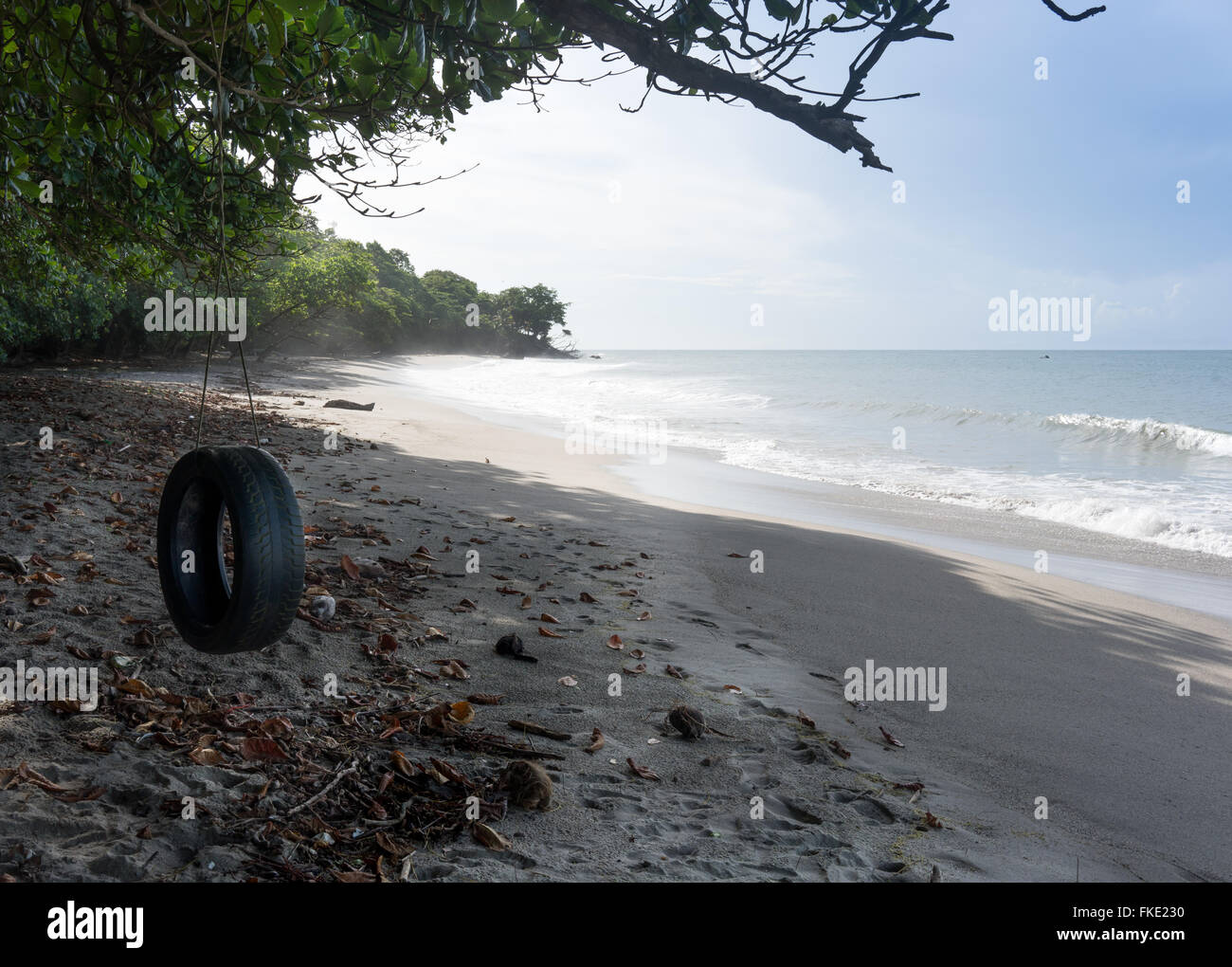 Balançoire pneu accroché à l'arbre sur la plage, à la Trinité, Trinité-et-Tobago Banque D'Images