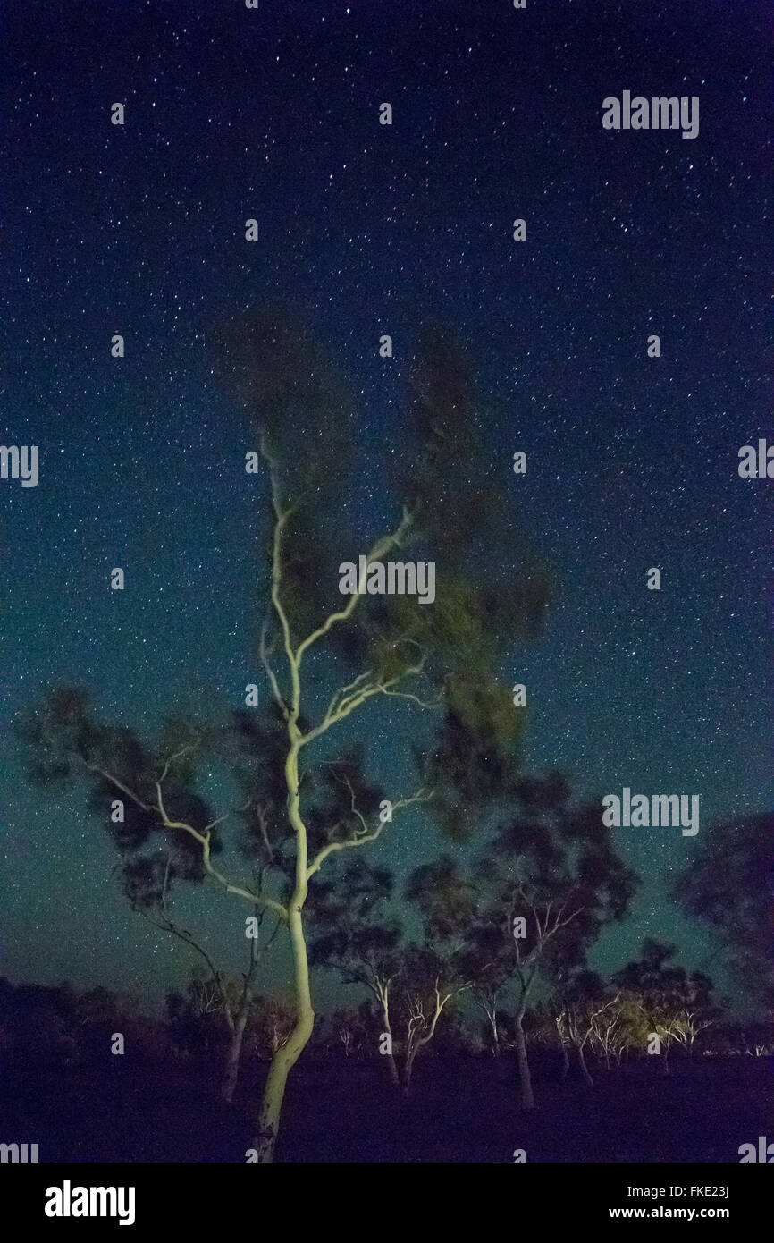 Le ciel de nuit sur l'ouest de l'Australie, Pilbarra Banque D'Images