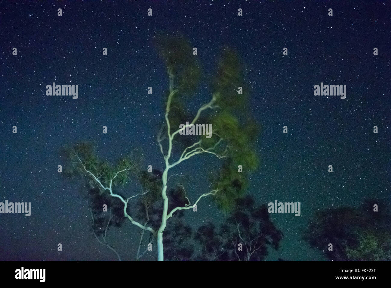 Le ciel de nuit sur l'ouest de l'Australie, Pilbarra Banque D'Images