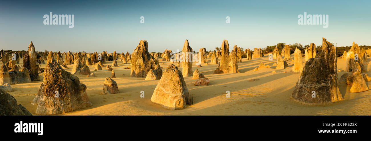 Les Pinnacles, des formations calcaires, le Parc National de Nambung, près de Cervantes, l'ouest de l'Australie Banque D'Images