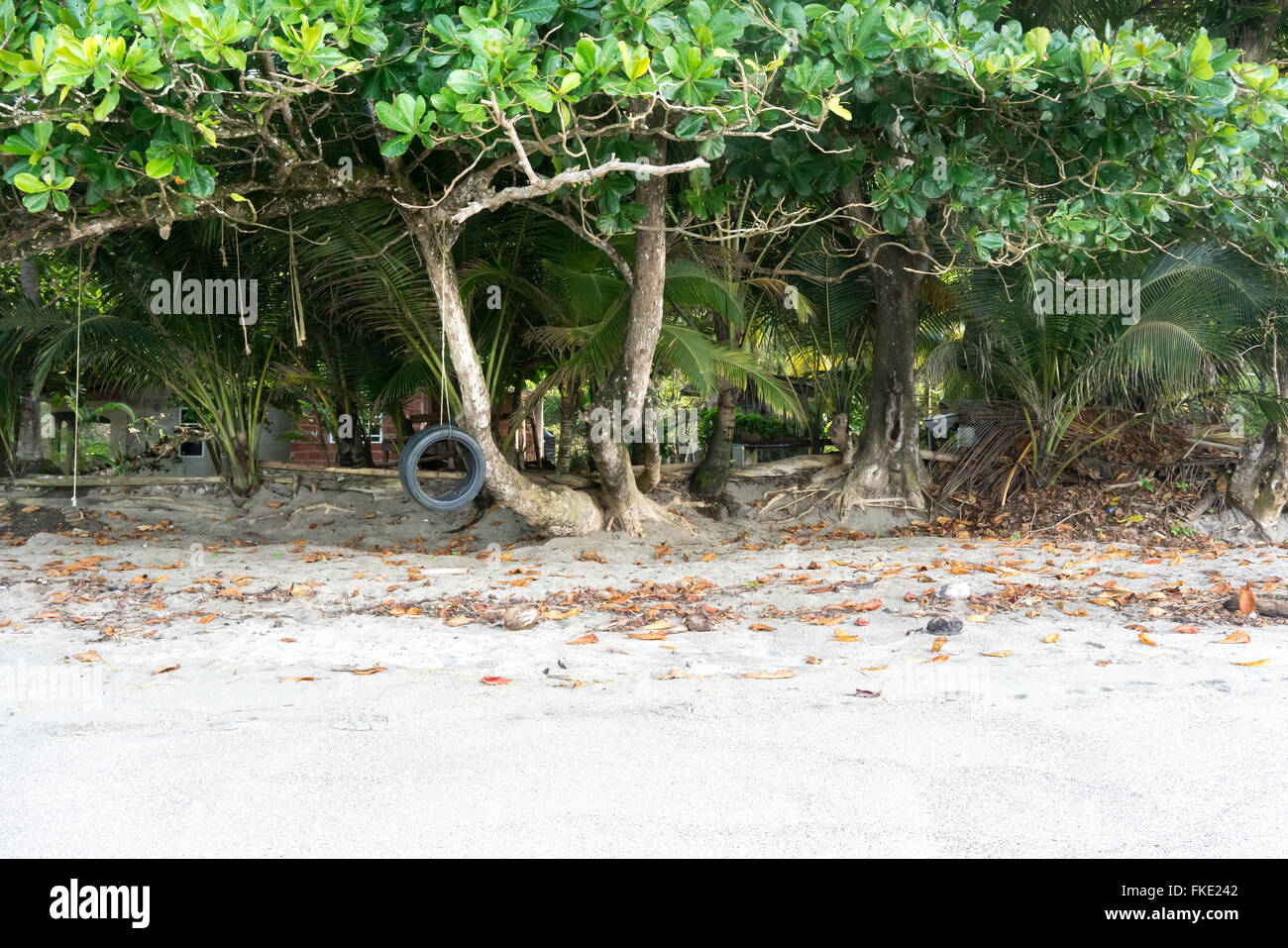 Balançoire pneu sur le bord de la mer, à la Trinité, Trinité-et-Tobago Banque D'Images