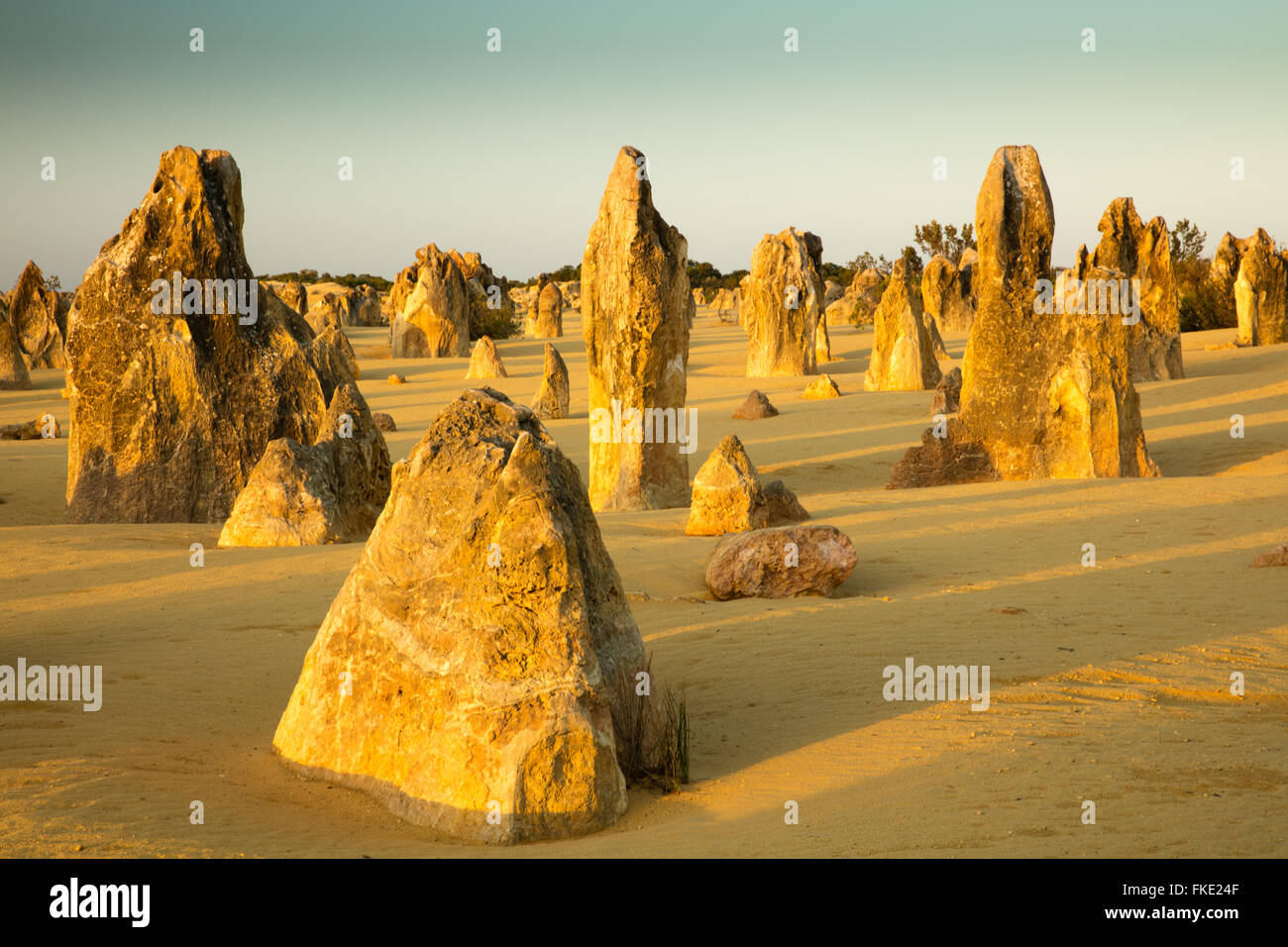 Les Pinnacles, des formations calcaires, le Parc National de Nambung, près de Cervantes, l'ouest de l'Australie Banque D'Images