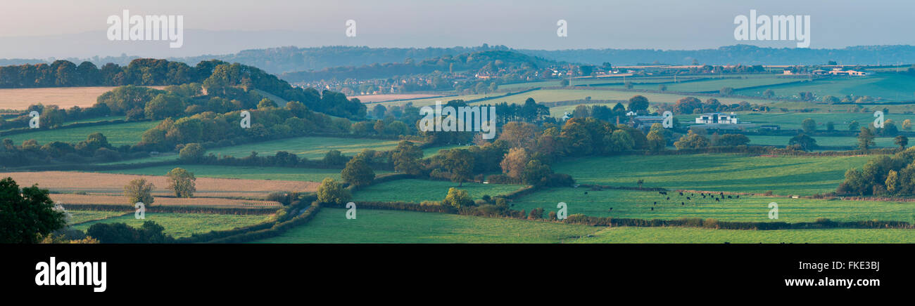 Couleurs d'automne dans la vallée autour de Milborne Wick, Somerset, England, UK Banque D'Images