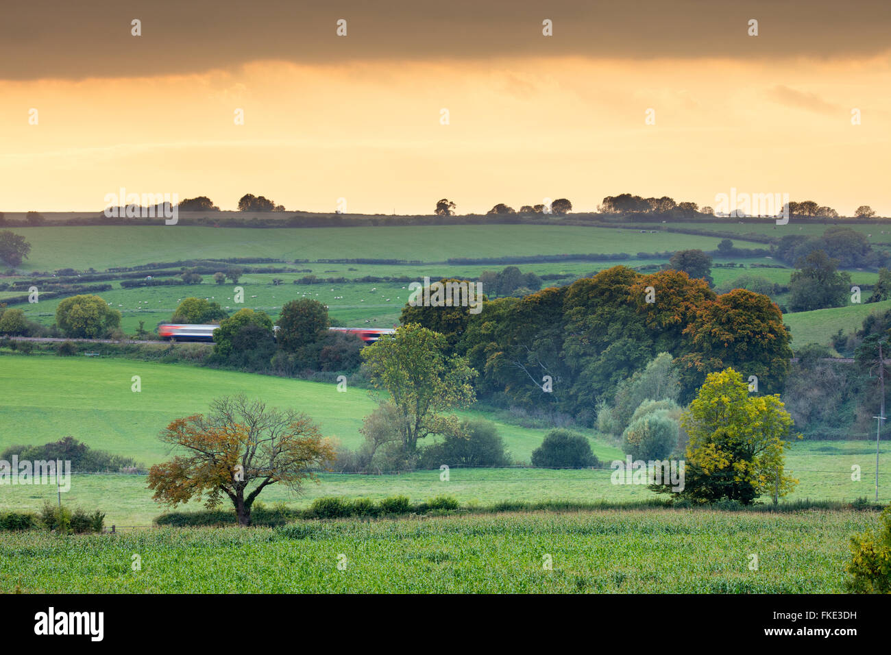 Le train passant entre les couleurs d'automne dans la vallée autour de Milborne Wick, Somerset, England, UK Banque D'Images