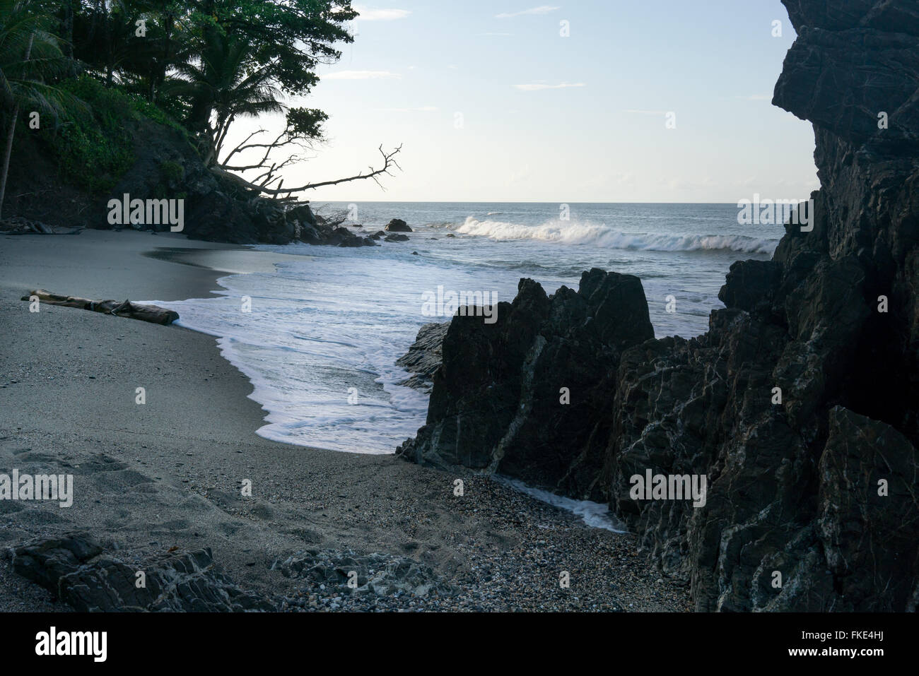 Sur les arbres au bord de la falaise, à la Trinité, Trinité-et-Tobago Banque D'Images