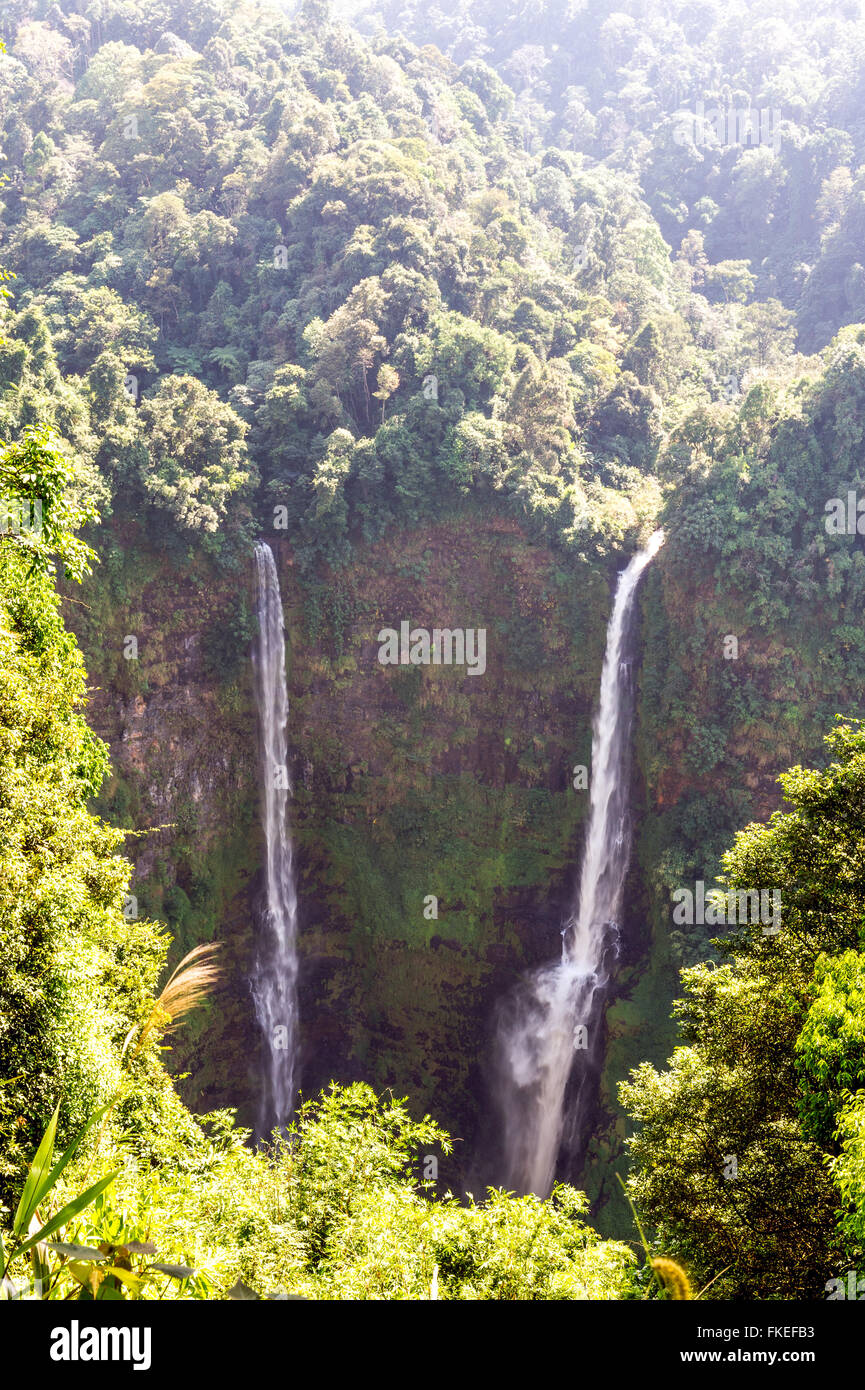 L'Asie. L'Asie du Sud-Est. Le Laos. Province de Champassak. Cascade de Tad fane. Plateau des bolavens près de Paksé. Banque D'Images