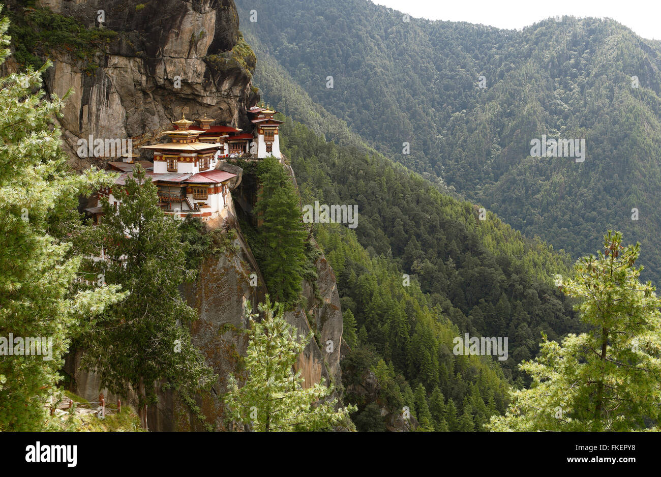Le nid du tigre monastère dans la falaise de la vallée de Paro, Taktshang Goemba, près de Paro, l'Himalaya, Royaume du Bhoutan Banque D'Images