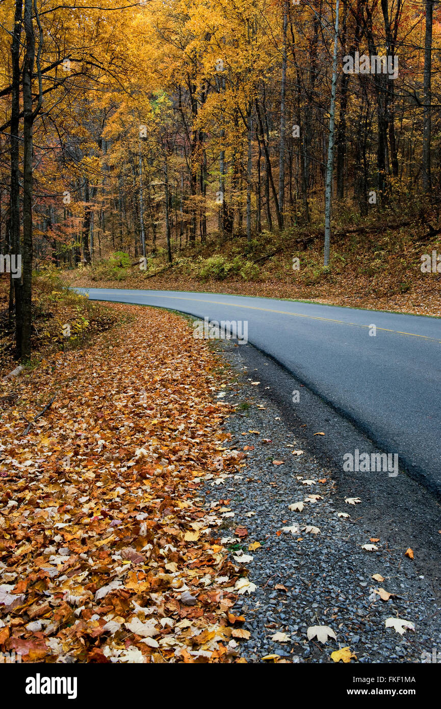 Route en automne Banque D'Images