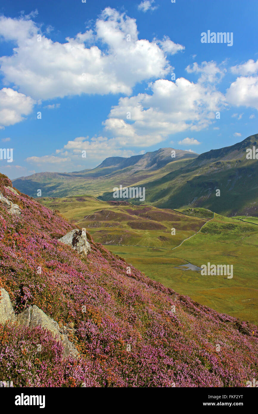 Paysage autour du lac de Cregennan et Gwynedd au Pays de Galles Cadair Idris Banque D'Images