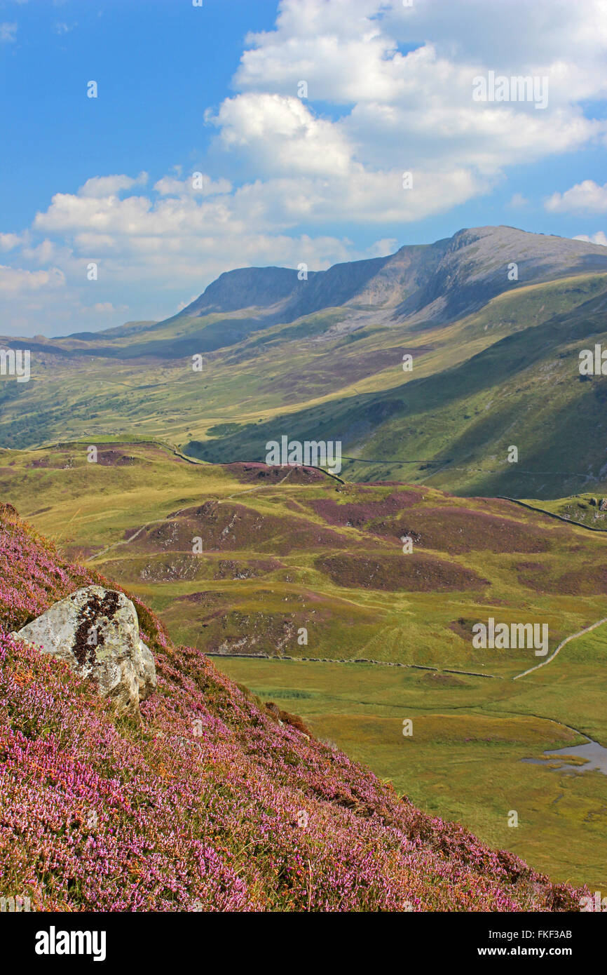 Paysage autour du lac de Cregennan et Gwynedd au Pays de Galles Cadair Idris Banque D'Images