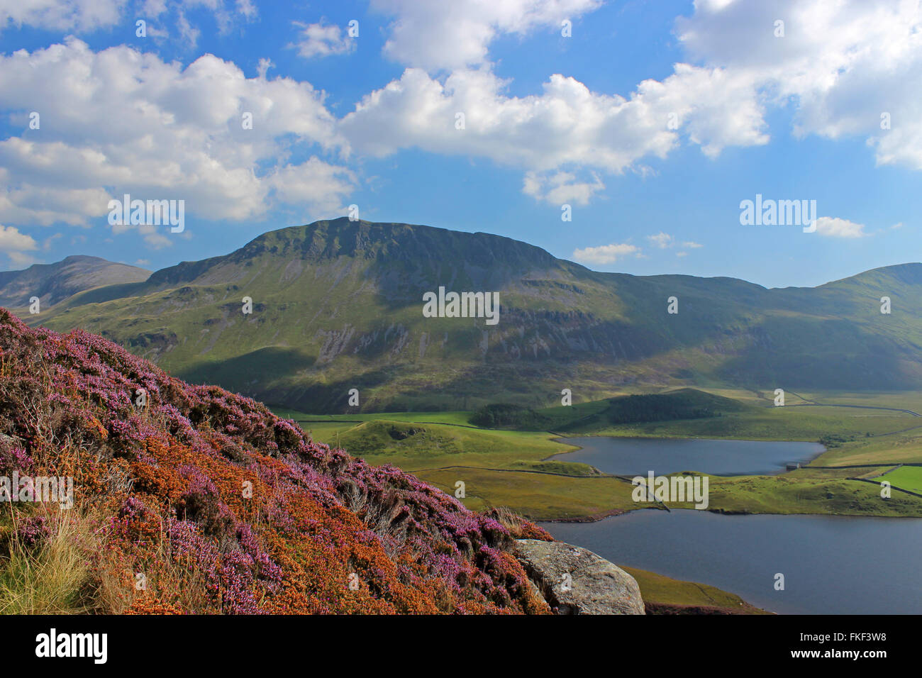 Paysage autour du lac de Cregennan et Gwynedd au Pays de Galles Cadair Idris Banque D'Images