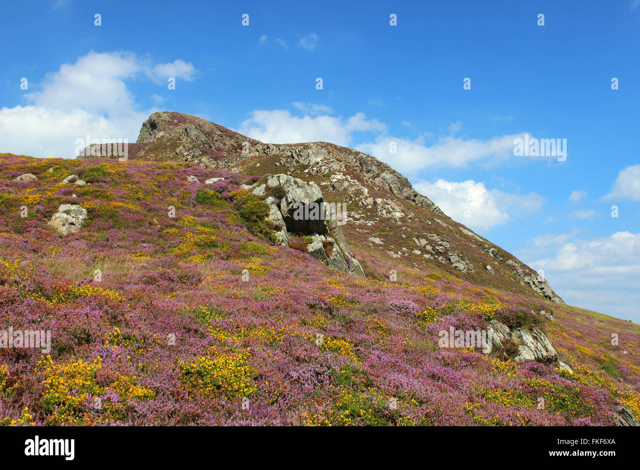 Paysage autour du lac de Cregennan et Gwynedd au Pays de Galles Cadair Idris Banque D'Images