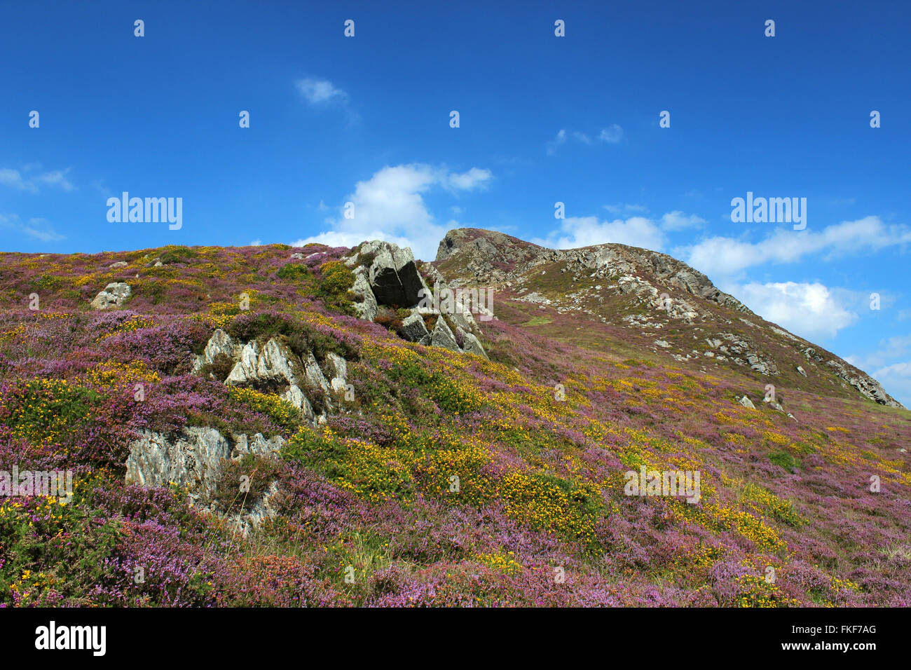 Paysage autour du lac de Cregennan et Gwynedd au Pays de Galles Cadair Idris Banque D'Images