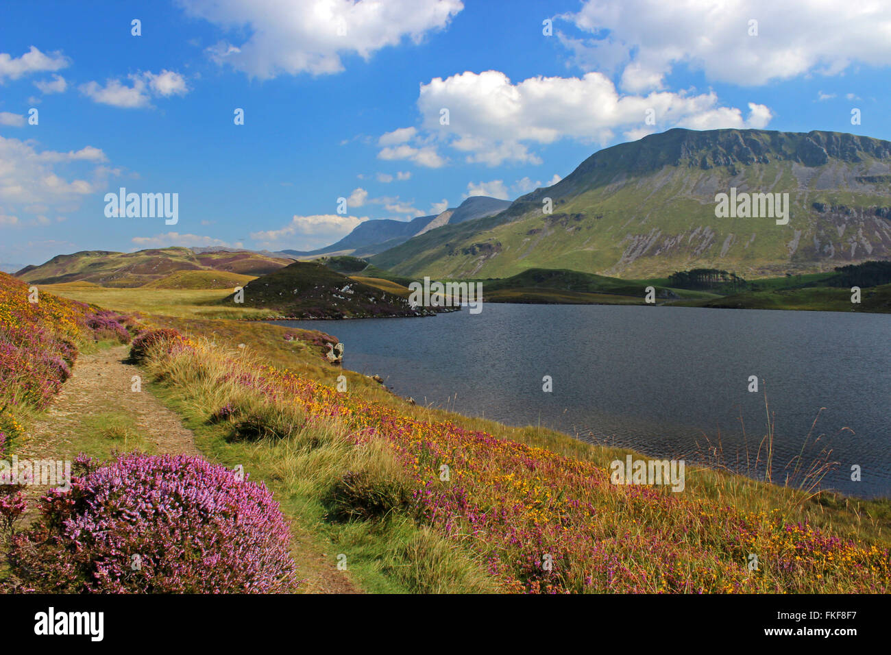 Paysage autour du lac de Cregennan et Gwynedd au Pays de Galles Cadair Idris Banque D'Images
