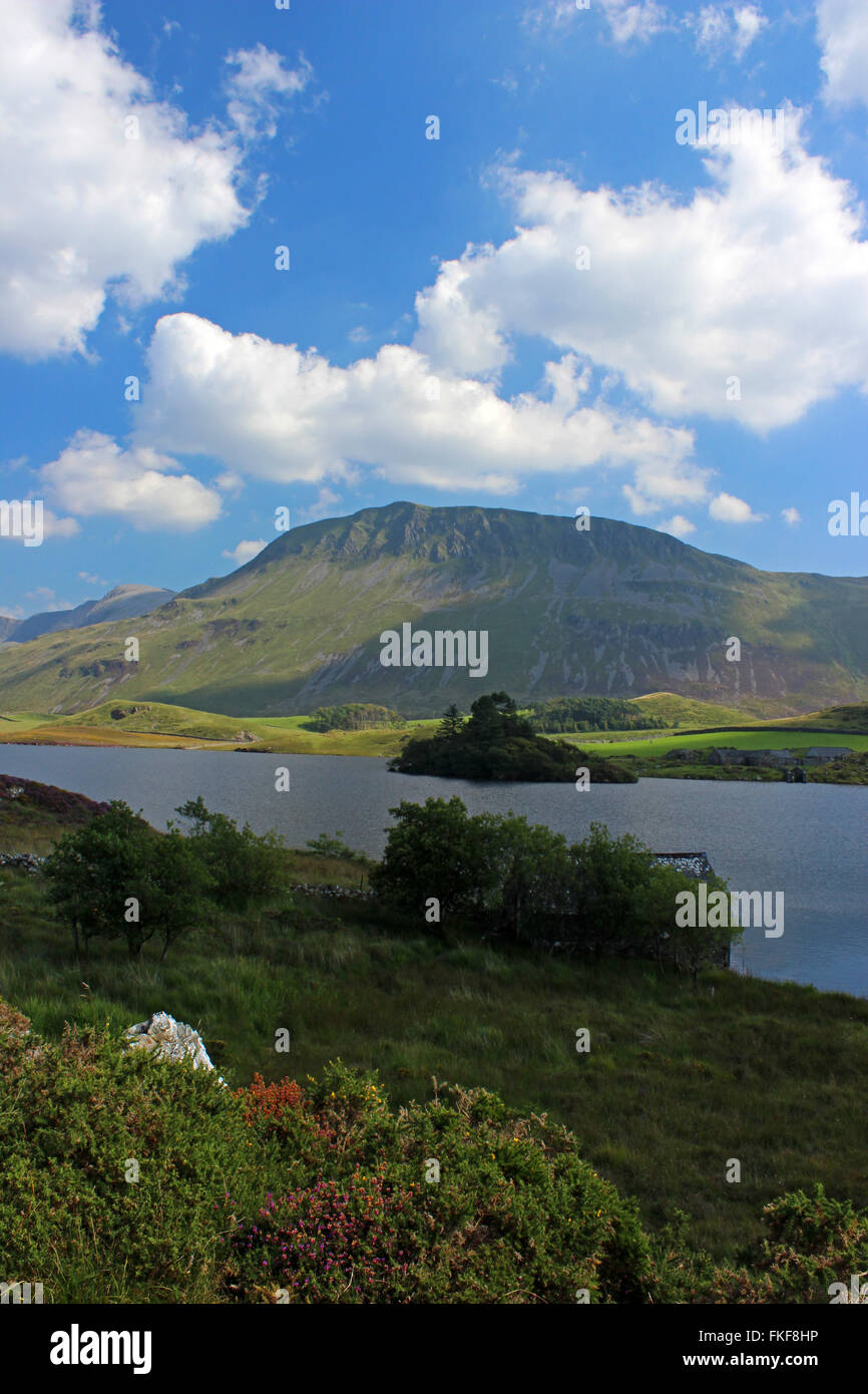 Paysage autour du lac de Cregennen et Gwynedd au Pays de Galles Cadair Idris Banque D'Images