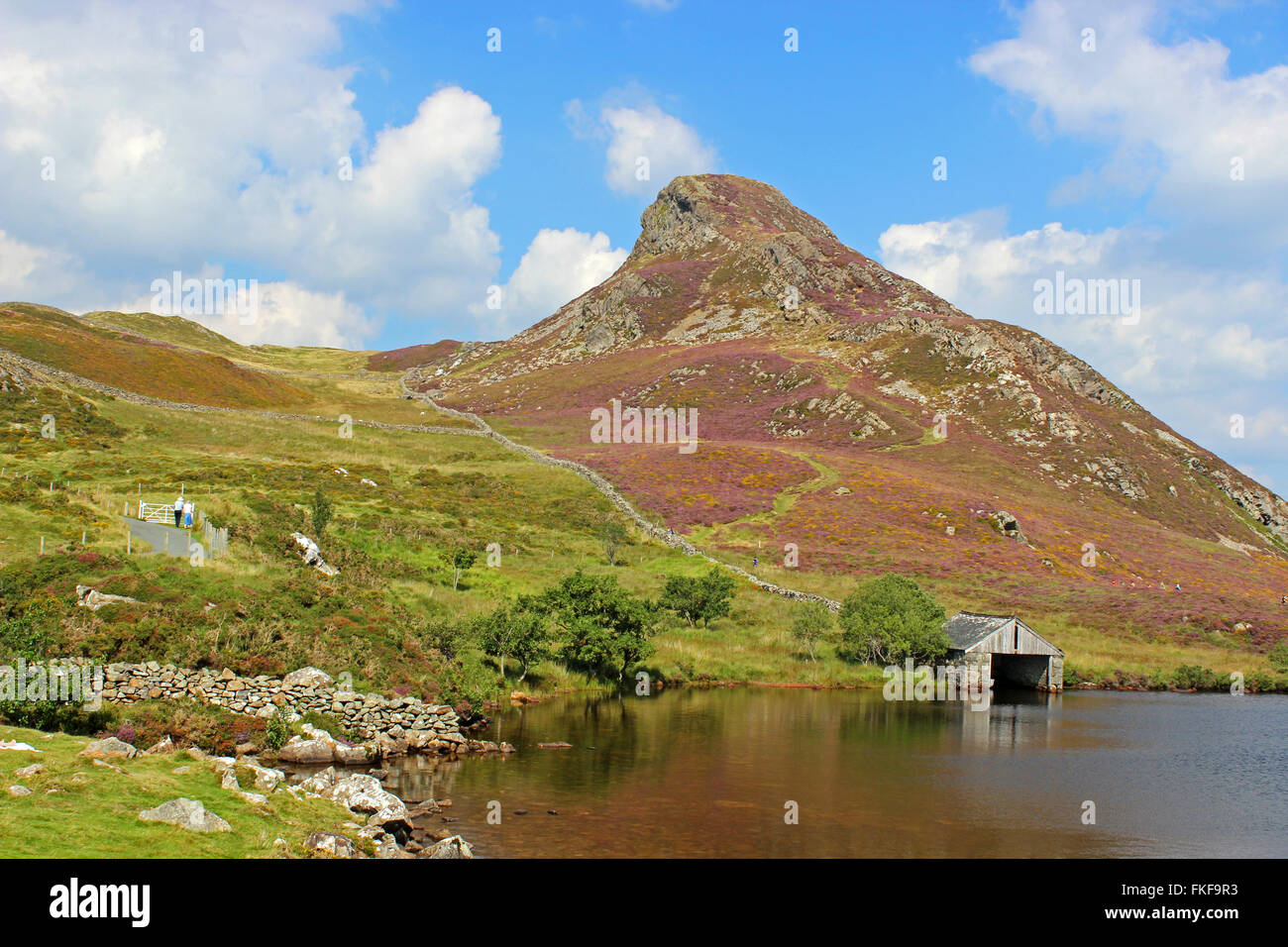 Les gens marcher autour du lac d'Cregennan Cadair Idris et Gwynedd au Pays de Galles Banque D'Images