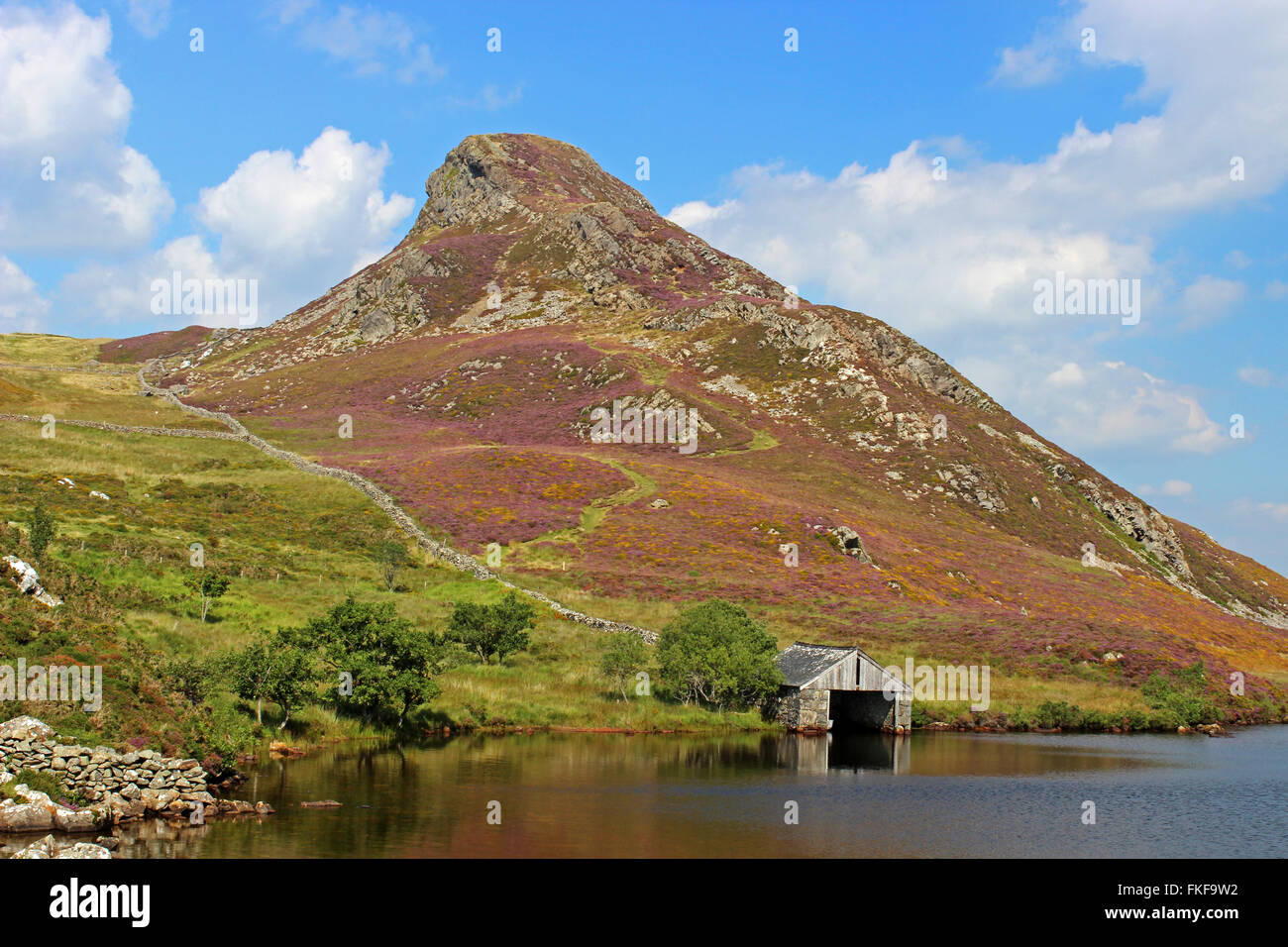 Paysage autour du lac de Cregennan et Gwynedd au Pays de Galles Cadair Idris Banque D'Images