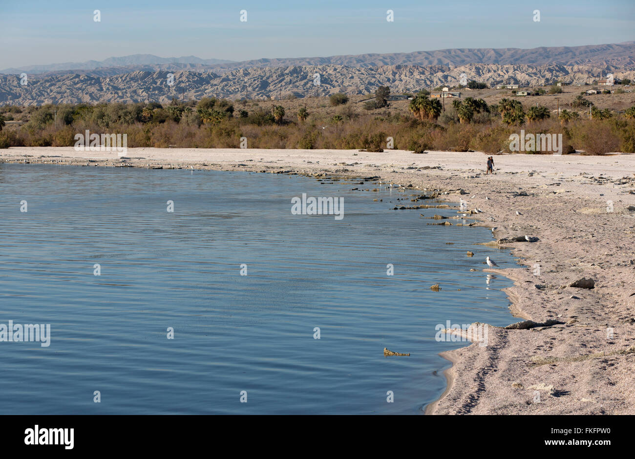 Salton Sea State Recreation Area Beach, Californie, USA Banque D'Images