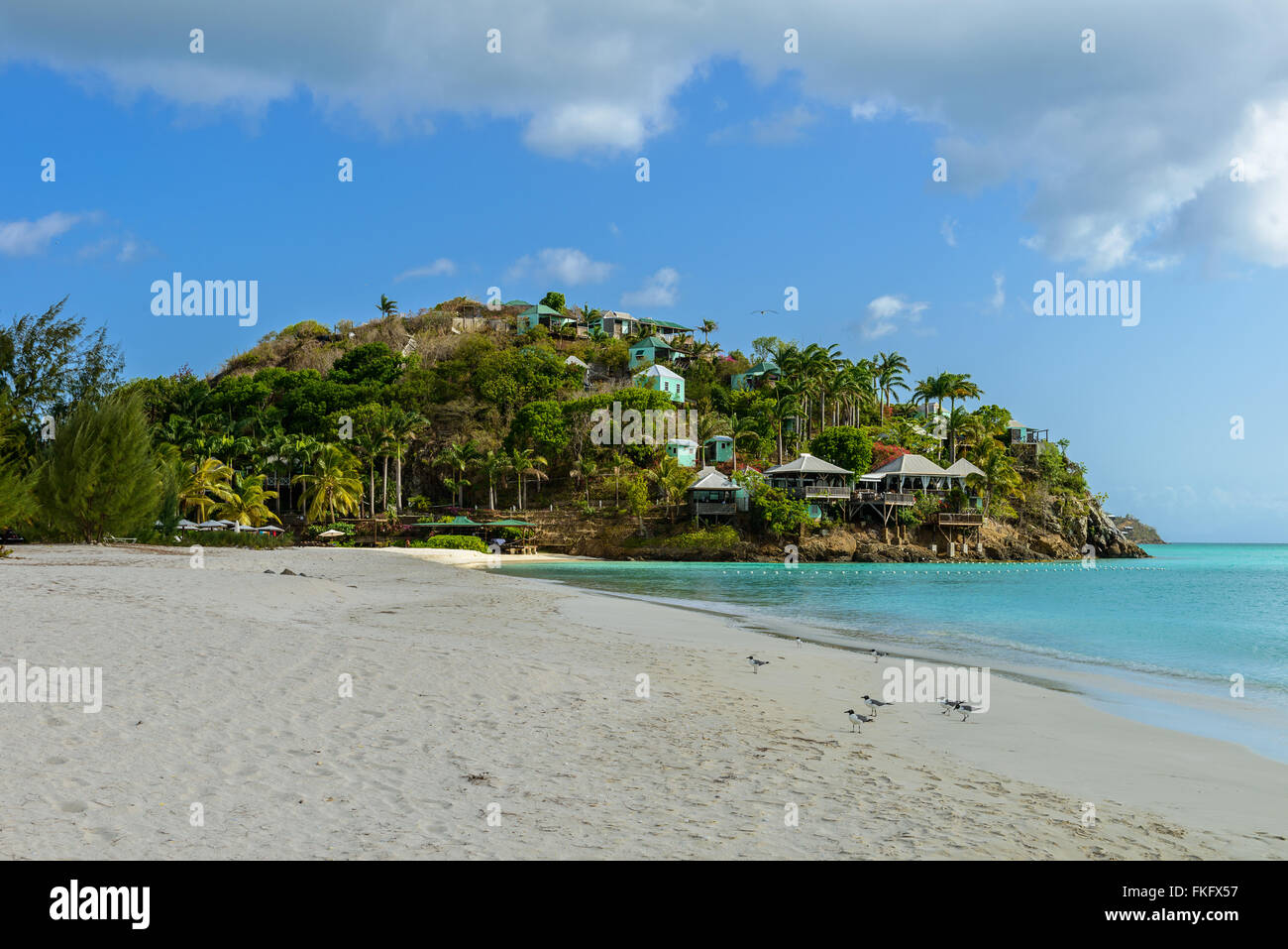 Tropical Beach à l'île d'Antigua dans les Caraïbes avec le sable blanc, l'eau de l'océan turquoise et ciel bleu Banque D'Images