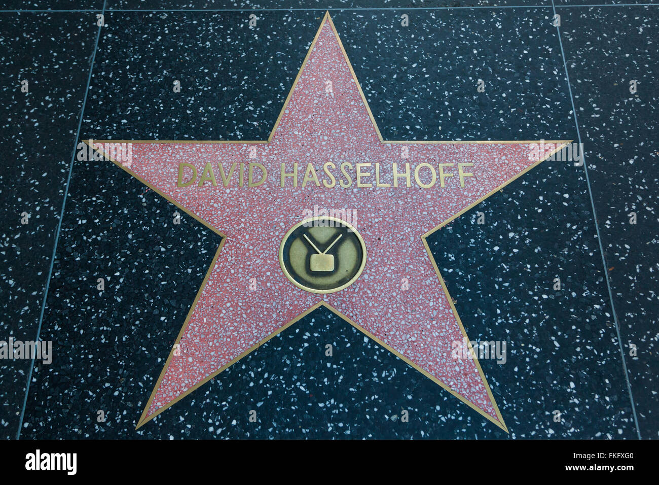 HOLLYWOOD, CALIFORNIE - Le 8 février 2015 : Davide Hasselhoff's Walk of Fame de Hollywood star le 8 février 2015 à Hollywood, CA. Banque D'Images