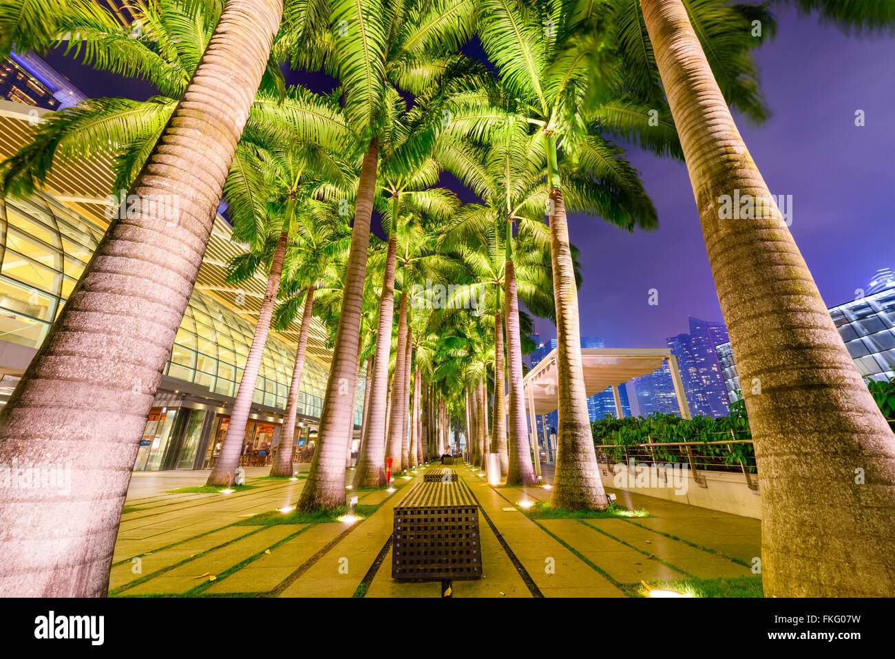 Singapour, au bord de l'eau bordée de palmiers. Banque D'Images
