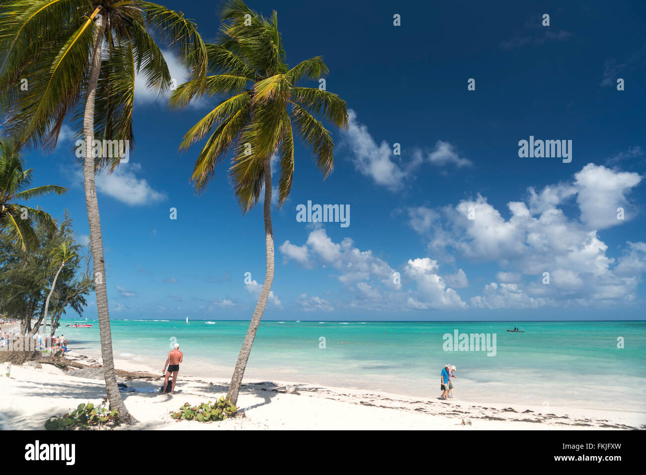 Plage de sable fin bordée de palmiers de Playa Bavaro, Punta Cana, République dominicaine, Caraïbes, Amérique Latine, Banque D'Images