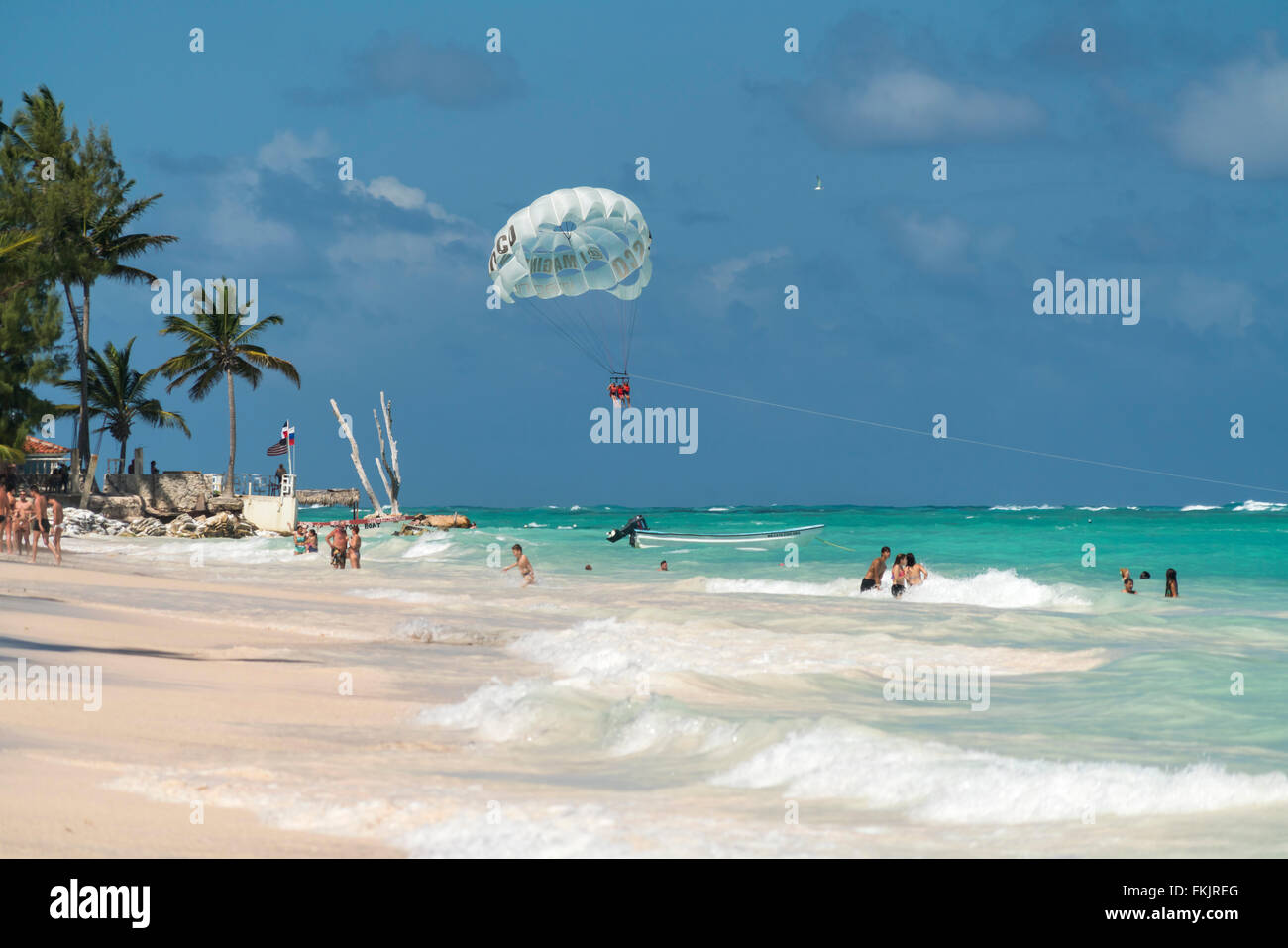 Le parapente à la plage de sable fin bordée de palmiers de Playa Bavaro, Punta Cana, République dominicaine, Caraïbes, Amérique Latine, Banque D'Images