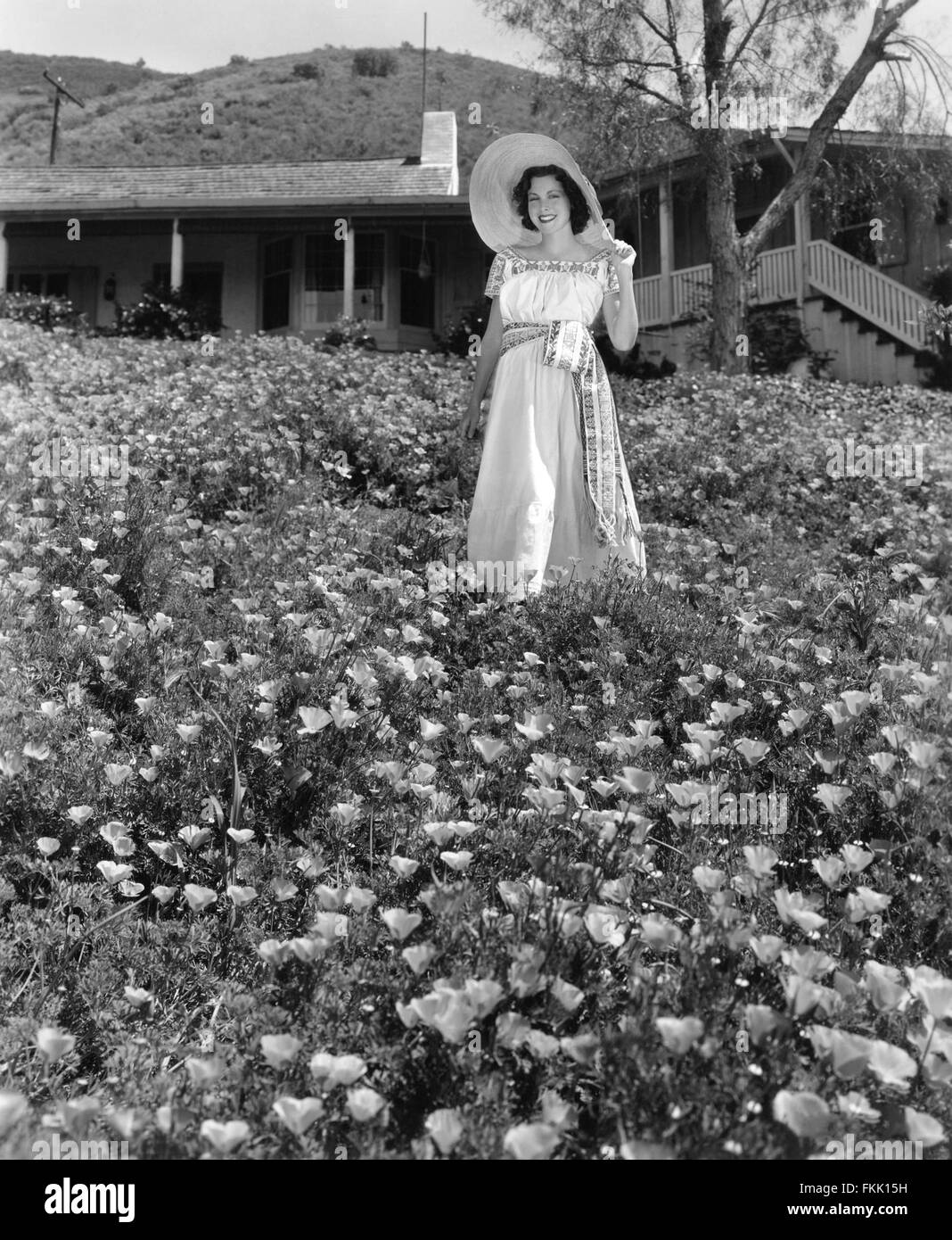Portrait de Frances Dee Banque D'Images