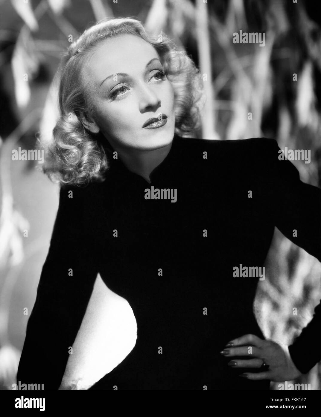 Portrait de Dietrich Marlene Banque D'Images