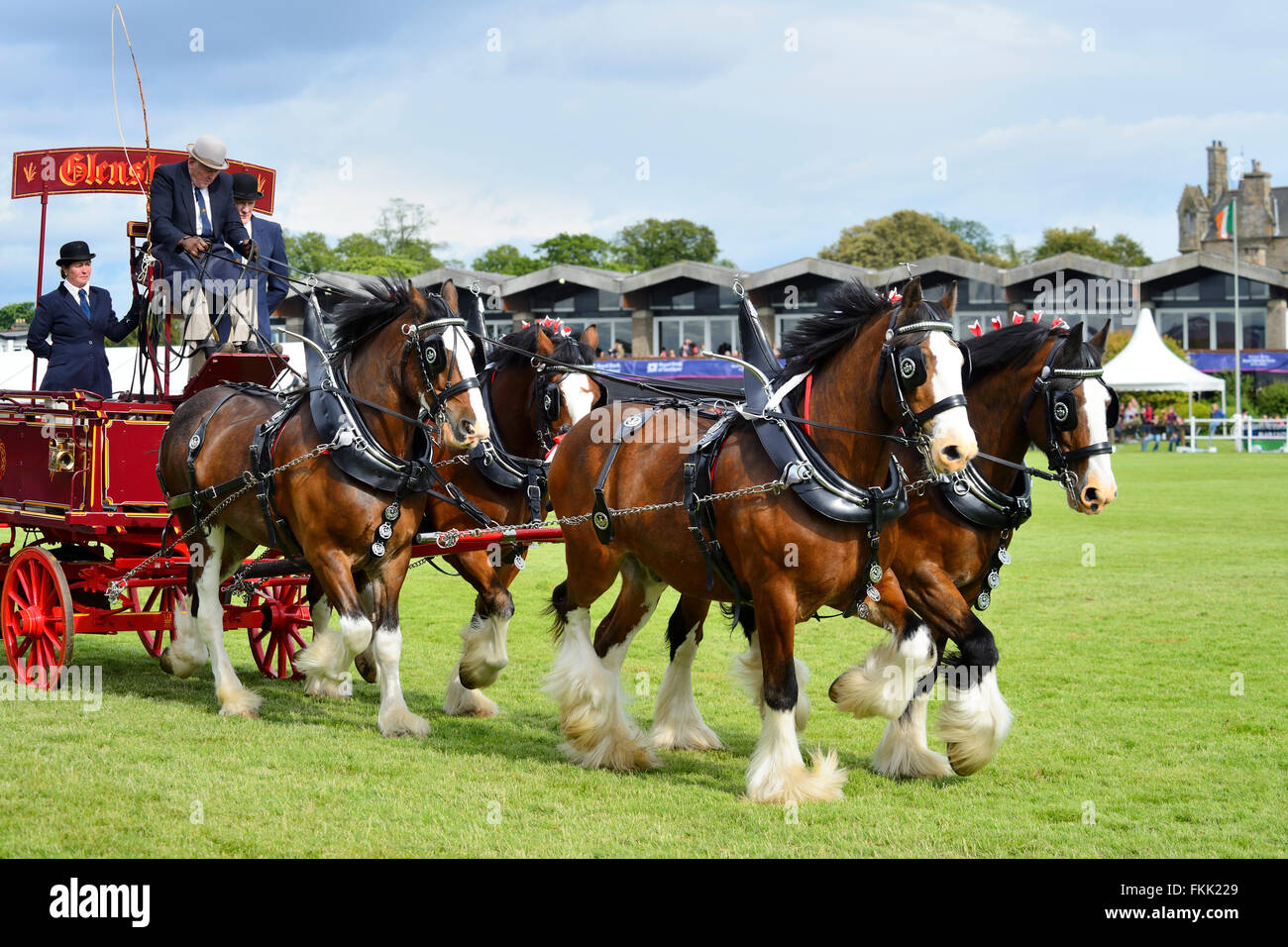 Branchements de chevaux lourds (fours) au Royal Highland Show 2015, Ingliston, Édimbourg, Écosse, Royaume-Uni Banque D'Images