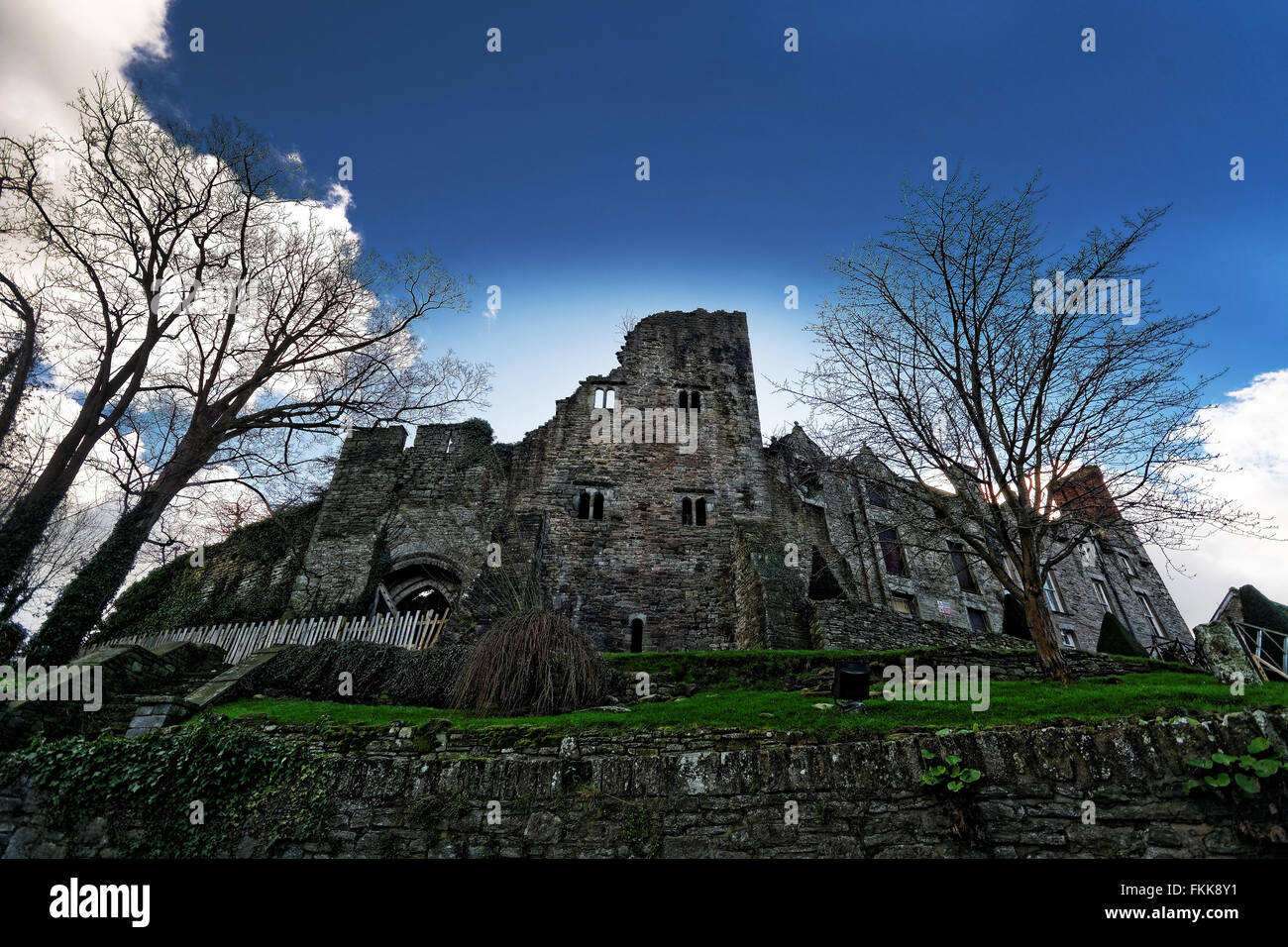 Hay-on-Wye (Y Gelli Gandryll ou Y Gelli en gallois) ou 'Foin', est une petite ville de marché en Brecknockshire, maintenant Powys, au Pays de Galles. Banque D'Images