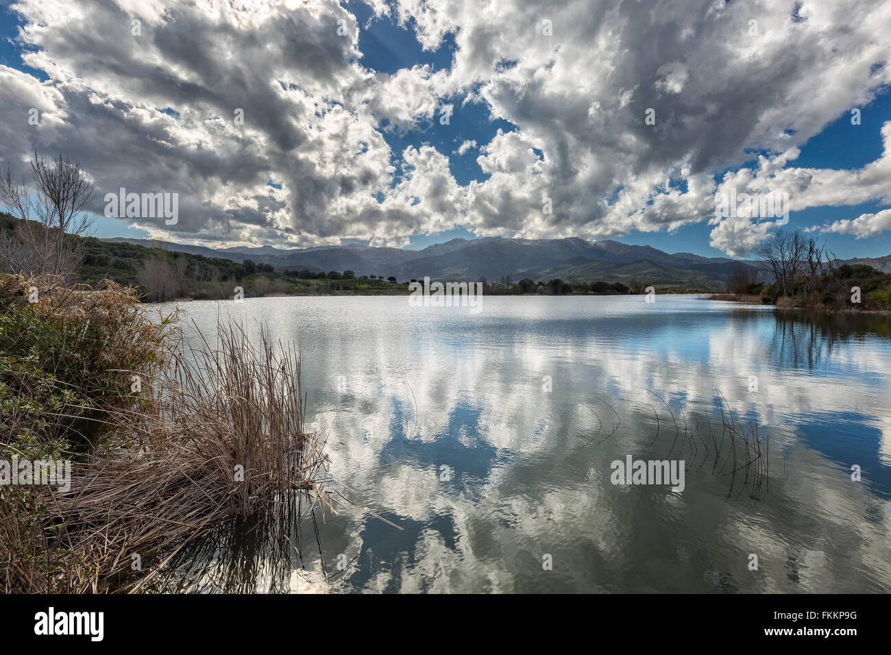 Les nuages et le ciel reflète dans l'eau du lac de Padula près d'Oletta en Corse avec norther se précipite à l'avant-plan Banque D'Images