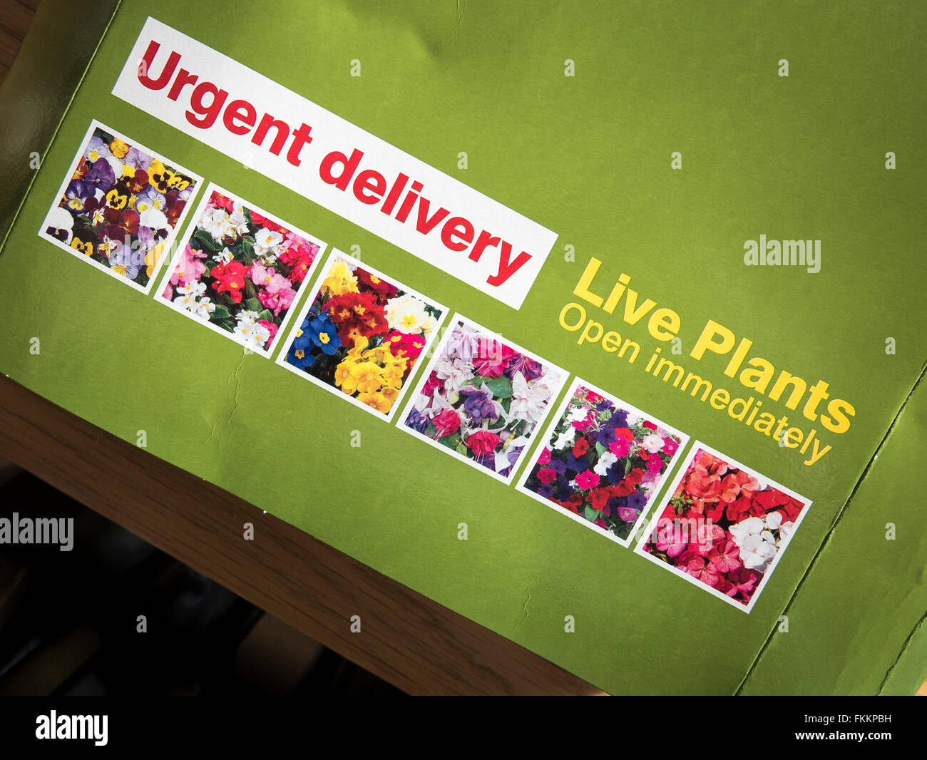 Conseils d'emballage des plantes vivantes et urgence de l'action à la réception Banque D'Images