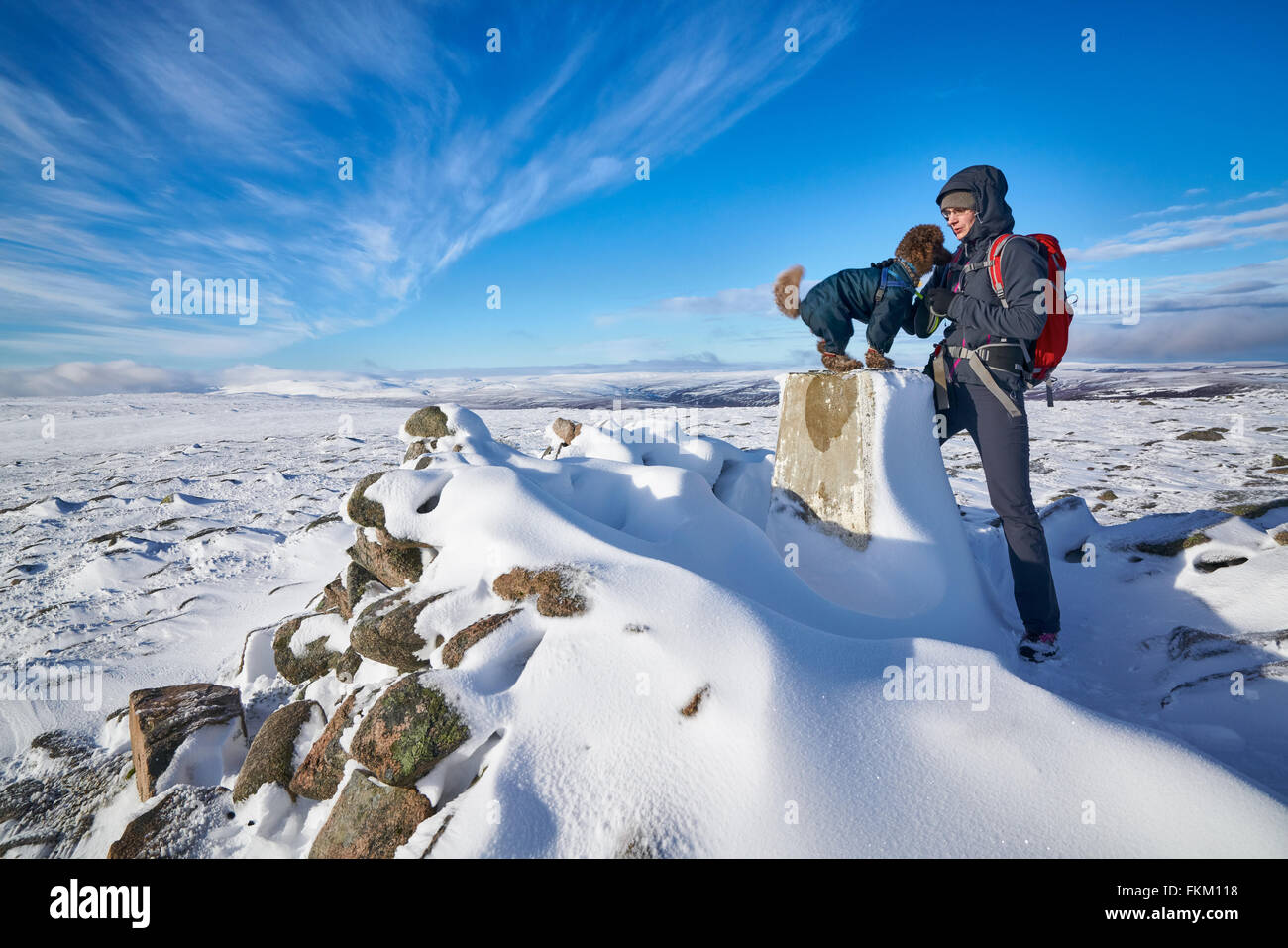 Un randonneur et son chien au sommet du Geal charn-Mor Cairngorms, dans les Highlands écossais, au Royaume-Uni. Banque D'Images